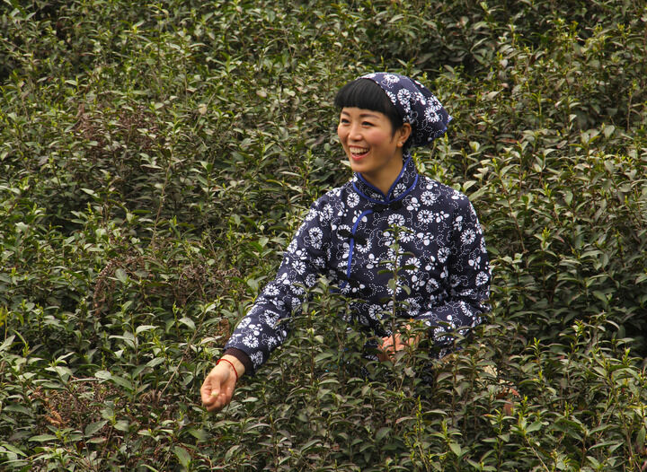 禁忌游戏